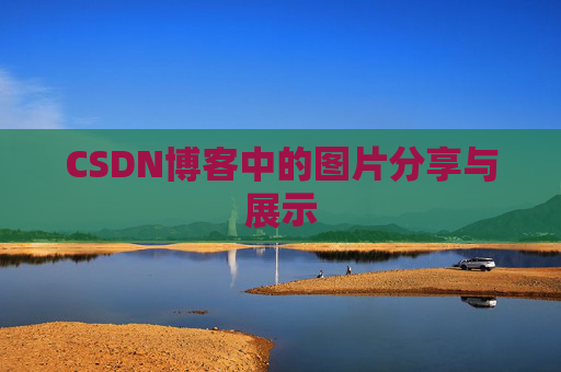 CSDN博客中的图片分享与展示